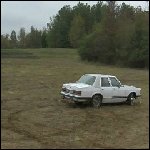 Scarlet Doing Donuts in the Wet Field