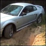 Scarlet Stuck in Boots While Trail Riding, 1 of 2